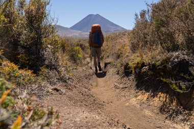 Ngauruhoe Dağı 'na doğru dar bir toprak yolda ağır bir sırt çantasıyla yürüyen bir erkek yürüyüşçünün alçak açılı dikiz görüntüsü. Güneşli bir günde Yeni Zelanda 'daki Tongariro Kuzey Pisti' nde çekildi.