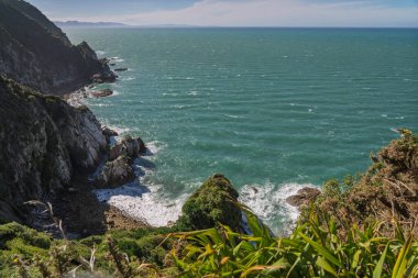 Yüksek açılı manzara, engebeli uçurumlara ve tenha bir koya çarpan turkuaz okyanusa bakıyor. Ön planda yerli keten ve çalılar yer alıyor. Abel Tasman Sahil Pisti, Yeni Zelanda 'da çekildi..