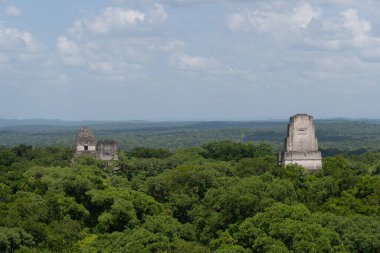 Tikal Ulusal Parkı 'nın antik Maya tapınak piramitlerinin manzarası Guatemala' daki yemyeşil orman tepe örtüsünün üzerinde yükseliyor..