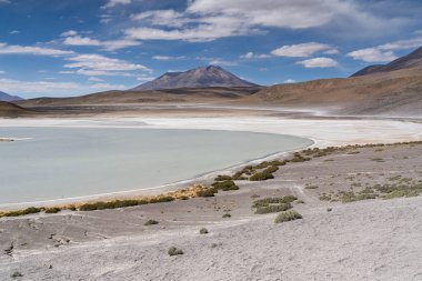 Bolivya Altiplanosu 'ndaki Laguna Honda ya da Deep Lagoon' un solgun sularının manzarası. Tussock otları ve dağlarıyla çevrili..