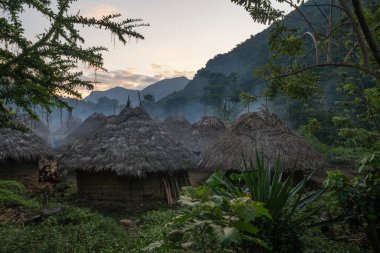 Kolombiya 'daki Kayıp Şehir Gezisi sırasında Sierra Nevada dağlarındaki Kogi köyündeki geleneksel sazdan çatı kulübelerinin manzarası.