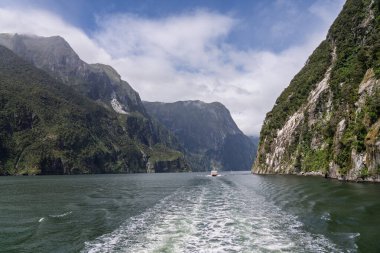 Yeni Zelanda 'nın Milford Boğazı' nın derin sularında büyük, dik dağlarla çevrili beyaz bir deniz teknesinin dramatik görüntüsü..