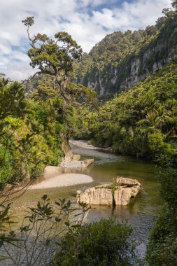 Yeni Zelanda 'daki Paparoa Ulusal Parkı' ndaki kireçtaşı vadisinden akan Pororari Nehri 'nin manzarası yemyeşil yağmur ormanlarıyla çevrili..