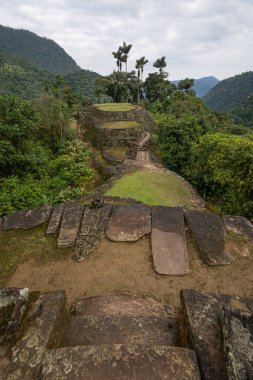 Dikey, yüksek açılı bir manzara Kayıp Şehir 'in ana üst kısmına bakıyor, yeşil çimlerle kaplı antik eşmerkezli taş terasları gösteriyor, en yüksek noktada duran küçük bir palmiye kümesi.