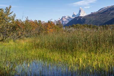 Sivri uçlu, karla kaplı Fitz Roy Dağı 'nın geniş manzarası ve etrafındaki tepeler, yüksek yeşil kamışların ve ılık sonbahar renklerine sahip ağaçların ön planında yükseliyor..