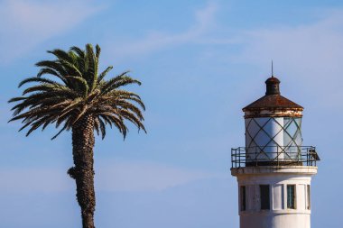Uzun bir palmiye ağacı, berrak mavi gökyüzünün altında paslı bir deniz fenerinin yanında durur. Kıyı mimarisinin ve tropikal sükunetin cazibesini yakalar..