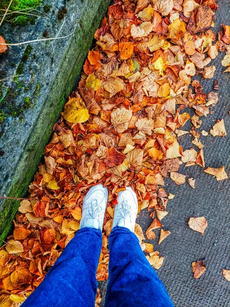 Yoldaki sarı yaprakların üzerinde duran bir kadın. Sonbahar havası.