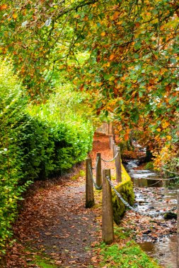 Sonbahar arkaplanı, nehrin yanındaki meşe ağacının altında yürüyüş yolu, dikey çekim