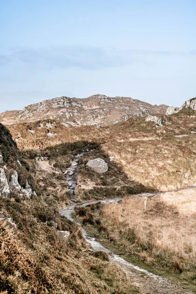 Dağlarda, West Cork, İrlanda 'da iyi bir patika, dikey çekim