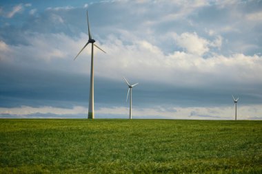 Dobrogea 'daki sıcak güneş ışığında rüzgâr tarlaları