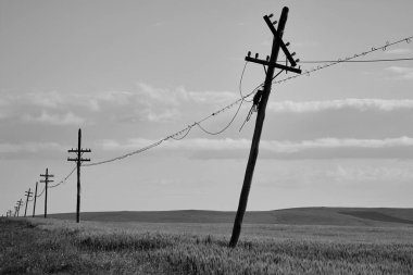 Telgraf direkleri hangi sabit telefonların taşındığını gösterir.