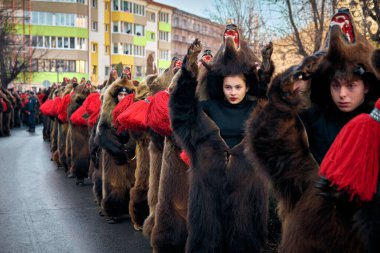 Comanesti, Ayı Dansı, Bacau, Romanya 'dan kış gelenekleri ve gelenekleri festivali