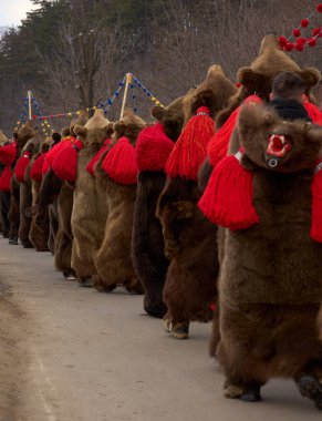 30 Aralık 2025 'teki Comanesti Gümrük ve Gelenek Festivali' nde ayı postu ve halk kostümü giymiş insanlar dans ediyor.