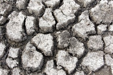 Göllerin kuraklığı ve kuruması küresel bir sorun, Comana Gölü