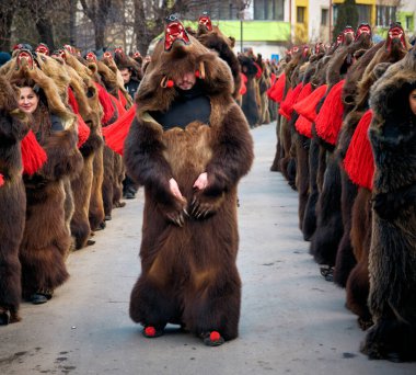 30 Aralık 2025 'teki Comanesti Gümrük ve Gelenek Festivali' nde ayı postu ve halk kostümü giymiş insanlar dans ediyor.
