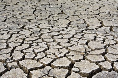 Göllerin kuraklığı ve kuruması küresel bir sorun, Comana Gölü