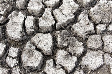 Göllerin kuraklığı ve kuruması küresel bir sorun, Comana Gölü