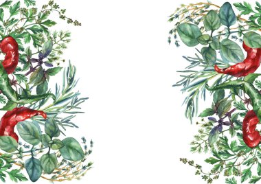 Suluboya otlar ve baharatlar çerçeve. El gıda nesneleri boyalı: fesleğen, biberiye, maydanoz, kekik, kekik, dereotu, düğüm-çimen, beyaz zemin üzerine yeşil ve kırmızı biber.