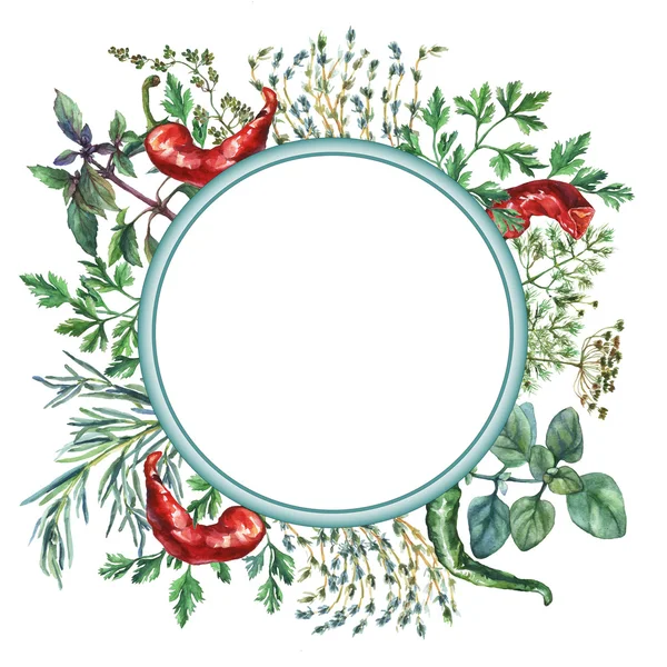 Suluboya otlar ve baharatlar çerçeve. Çerçeve ile el gıda nesneleri boyalı yuvarlak: fesleğen, biberiye, maydanoz, kekik, kekik, dereotu, düğüm-çimen, beyaz zemin üzerine yeşil ve kırmızı biber.