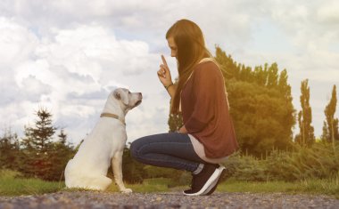 Genç labrador köpek köpek ve kadın birlikte tren