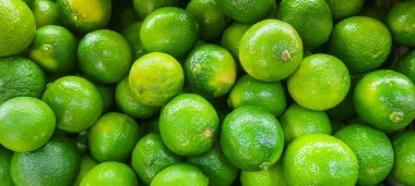 Toplanmış, olgunlaşmış ve güzel portakallar.