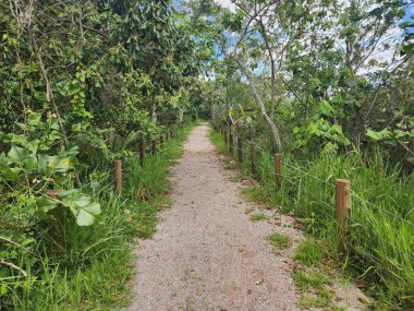Gölün yakınındaki bir parkta taş patika.