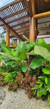 Tahtadan yapılmış bir kır evi resmi