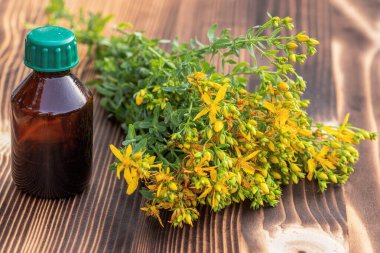 St. John otundan çıkan ilaçlarla köpük. Hypericum - St Johns otları alternatif tıpta kullanılan sarı çiçekleri yetiştirir. Homeopatik tedaviler için tıbbi bitkiler Hypericum