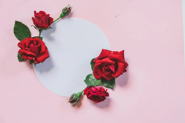 Border frame with red rose flower buds branches on pink background. Flat lay, top view. Floral background. Floral frame. Frame of flowers.