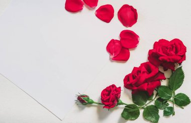 Sevgililer Günü. Beyaz arka planda gül çiçeği konfetisinden yapılmış çerçeve. Sevgililer Günü geçmişi. Düz konum, üst görünüm, kopyalama alanı.