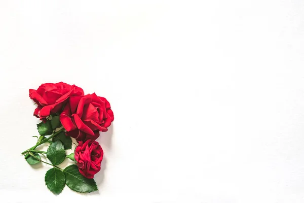 Rosas Rojas Hermoso Ramo Cerca Aislado Sobre Fondo Blanco Concepto —  Fotos de Stock