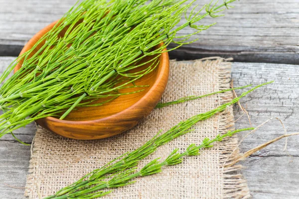 Fresh Equisetum arvense, field horsetail or common horsetail on a wooden table. used in traditional herbal medicine and for cooking. — Stock Image Fresh Equisetum Arvense Field Horsetail Common Horsetail Wooden Table Used Royalty Free Stock Photos