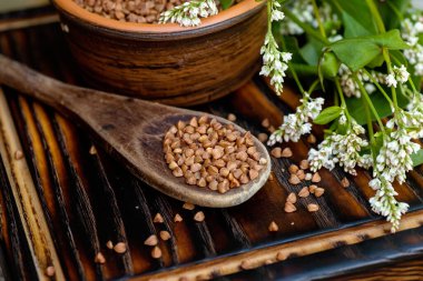 Ahşap kaşıkta kurutulmamış karabuğday. Çiğ yiyecekler ve vejetaryenler için yiyecek. Kilo vermek için sağlıklı yiyecekler.