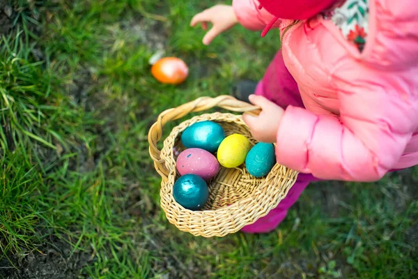 Çocuk renkli Paskalya yumurtalarını sepette topluyor. Paskalya yumurtası avı konsepti.
