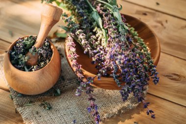 Salvia pratensis, çayır tarlası ya da kuru otla pişirilmiş havan topunun yanındaki çayırda yetişen mor adaçayı çiçeği. Şifalı bitkiler. Kendi kendini tedavi. İlaç ve kozmetoloji için bitkisel bitkiler topluyorum.