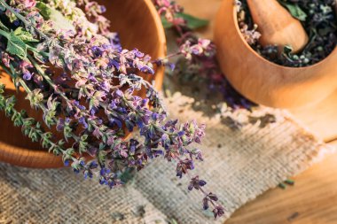 Salvia pratensis, çayır tarlası ya da kuru otla pişirilmiş havan topunun yanındaki çayırda yetişen mor adaçayı çiçeği. Şifalı bitkiler. Kendi kendini tedavi. İlaç ve kozmetoloji için bitkisel bitkiler topluyorum.