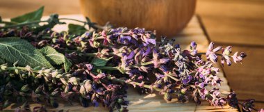 Salvia pratensis, çayır tarlası ya da kuru otla pişirilmiş havan topunun yanındaki çayırda yetişen mor adaçayı çiçeği. Şifalı bitkiler. Kendi kendini tedavi. İlaç ve kozmetoloji için bitkisel bitkiler topluyorum.