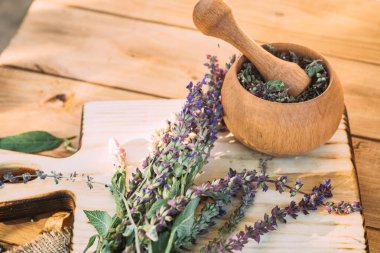 Salvia pratensis, çayır tarlası ya da kuru otla pişirilmiş havan topunun yanındaki çayırda yetişen mor adaçayı çiçeği. Şifalı bitkiler. Kendi kendini tedavi. İlaç ve kozmetoloji için bitkisel bitkiler topluyorum.