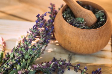 Salvia pratensis, çayır tarlası ya da kuru otla pişirilmiş havan topunun yanındaki çayırda yetişen mor adaçayı çiçeği. Şifalı bitkiler. Kendi kendini tedavi. İlaç ve kozmetoloji için bitkisel bitkiler topluyorum.