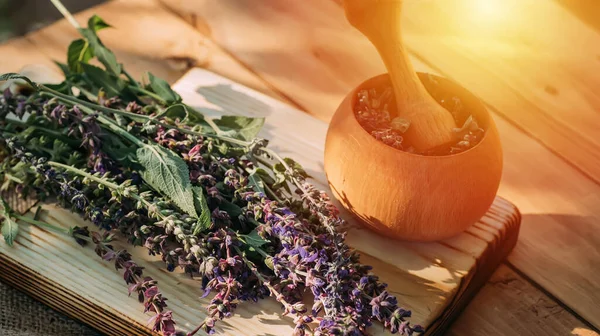 Salvia pratensis , meadow clary or meadow sage purple fresh flowers near mortar with cooked dried herb. Medicinal herbs. self-medication. Collecting herbal plants for medicine and cosmetology