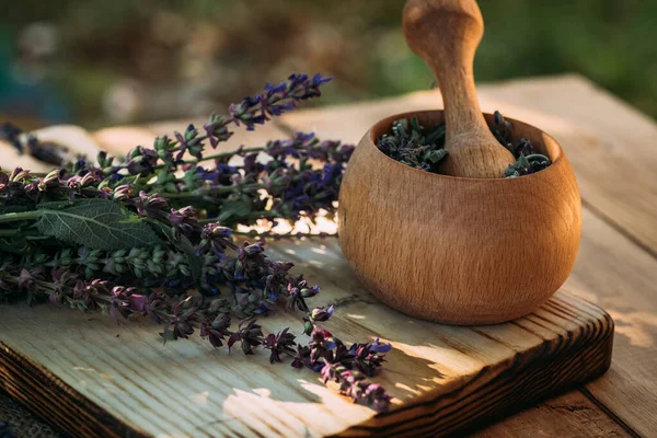 Salvia pratensis , meadow clary or meadow sage purple fresh flowers near mortar with cooked dried herb. Medicinal herbs. self-medication. Collecting herbal plants for medicine and cosmetology