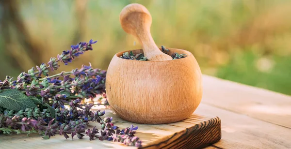 Salvia pratensis , meadow clary or meadow sage purple fresh flowers near mortar with cooked dried herb. Medicinal herbs. self-medication. Collecting herbal plants for medicine and cosmetology