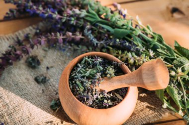 Salvia pratensis, çayır tarlası ya da kuru otla pişirilmiş havan topunun yanındaki çayırda yetişen mor adaçayı çiçeği. Şifalı bitkiler. Kendi kendini tedavi. Üst görünüm.