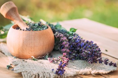 Kurutulmuş sebze soslu havan topu pratensis. Şifalı bitkiler. Kendi kendine tedavi.