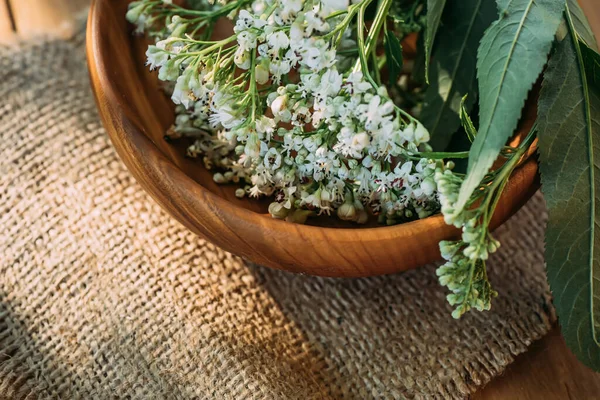 Eimer Baldrian Auf Holzteller Heilkräuter Während Der Blüte Sammeln Weiße — Stockfoto