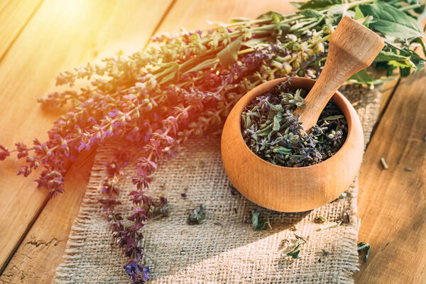 Salvia pratensis , meadow clary or meadow sage purple fresh flowers near mortar with cooked dried herb. Medicinal herbs. self-medication. Collecting herbal plants for medicine and cosmetology