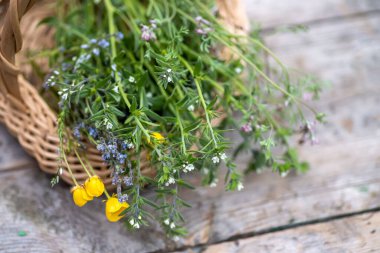 Tahta bir masada sepetin içinde bir buket tıbbi bitki. Fumaria officinalis, Myosotis stricta, Ranunculus iksir hazırlığı ve yaz aylarında şifalı bitkiler için toplanan pişmanlıklar