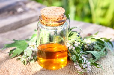 Leonurus kardiyak, orospu çocuğu, kurt otu, aslan kulağı, aslan kuyruğu tıbbi bitkisi eski pencere pervazında ahşap havan. Kozmetik bilimi ve geleneksel olmayan tıp malzemeleri. Yazın açan