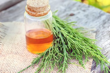 Saf esansiyel yağı özü ve cam sürahi içinde infüzyon ile ortak at kuyruğu tıbbi bitki bitki. Ayrıca Equisetum Arvense. Beyaz arka plan üzerinde izole.