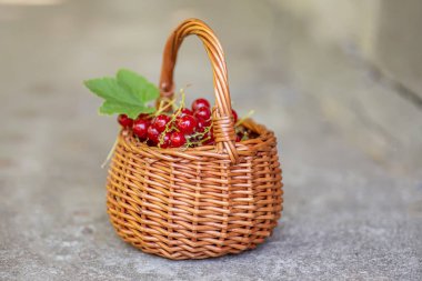 Sağlıklı böğürtlen üzümü, ya da güneşli bir günde frenk üzümü. Arka planda bir sepet dolusu meyve var.